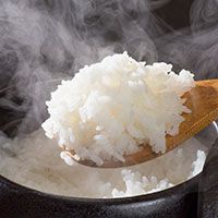 雪若丸