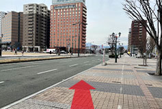 You will arrive at the pickup location. Please take the bus marked Nozomi Sightseeing.