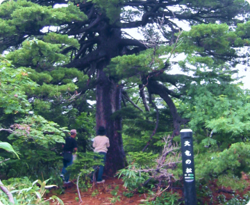 観松平散策路