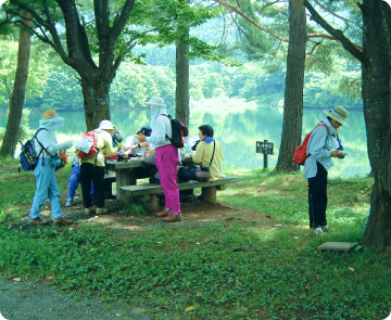 鴨の谷地沼